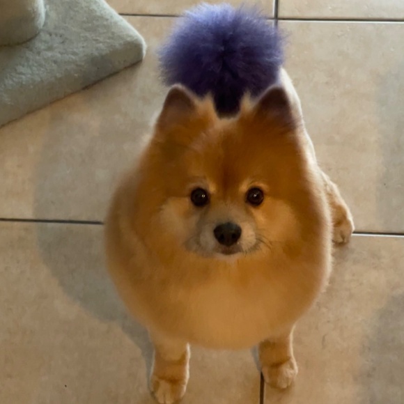 Meet your Posher, Rebecca - Picture 3 of 7